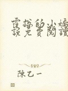 霍总的小娇妻小说免费阅读