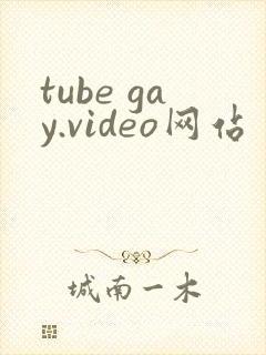 tube gay.video网站
