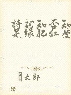 诗词知否知否应是绿肥红瘦全诗