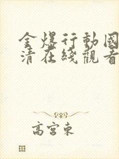 金爆行动国语高清在线观看