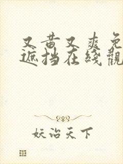 又黄又爽免费无遮挡在线观看