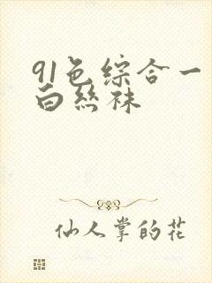 91色综合一区白丝袜