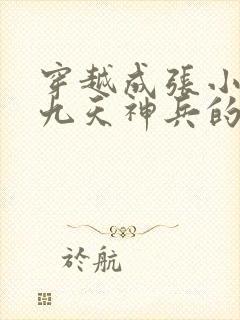 穿越成张小凡练九天神兵的小说封面