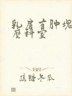 乳房有肿块看什么科室