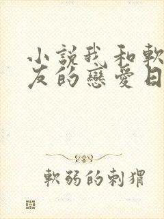 小说我和软萌女友的恋爱日常下载