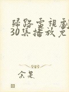 归路电视剧全集30集播放免费观看