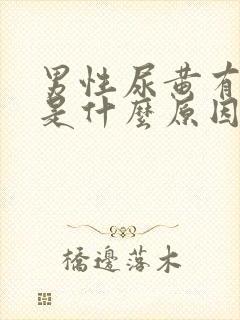 男性尿黄有泡泡是什么原因