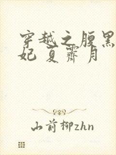 穿越之腹黑世子妃 夏霁月