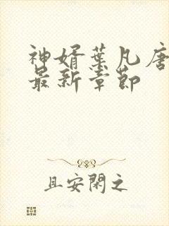 神婿叶凡唐若雪最新章节