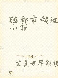 听都市超级医圣小说