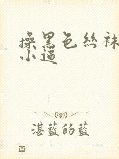 操黑色丝袜欧美小逼