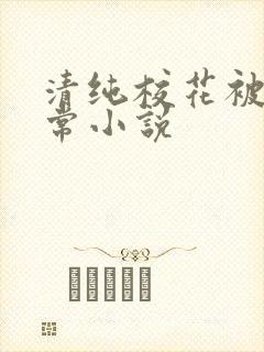 清纯校花被艹日常小说