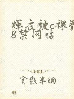 辉夜被c裸体18禁网站