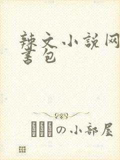 辣文小说网第二书包封面