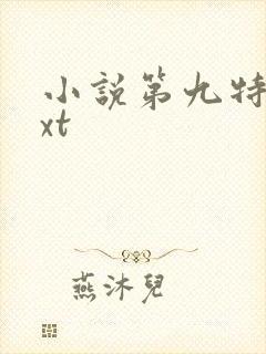 小说第九特区txt