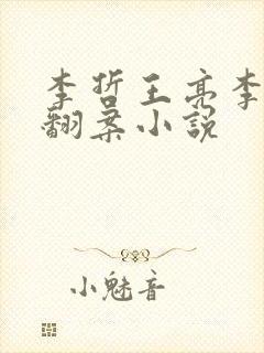 李哲王亮李小雅翻案小说