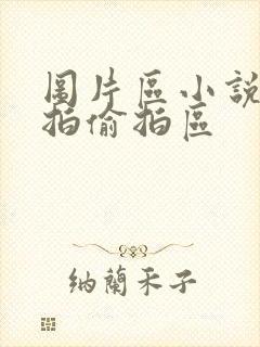 图片区小说区自拍偷拍区