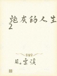 炮灰的人生快穿2