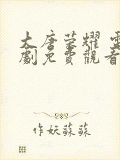 大唐荣耀 电视剧免费观看高清