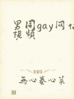 男同gay网站视频