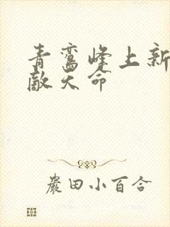 青鸾峰上新书无敌天命