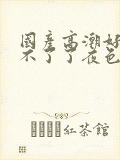 国产高潮好爽受不了了夜色