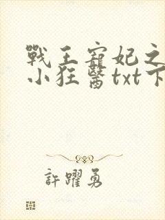 战王宠妃之倾世小狂医txt下载