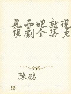 见面吧就现在电视剧全集免费观看