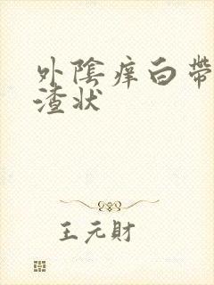 外阴痒白带豆腐渣状封面