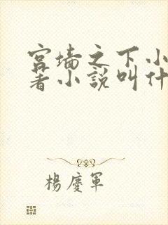 宫墙之下小说原著小说叫什么名字