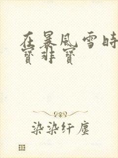 在暴风雪时分墨宝非宝