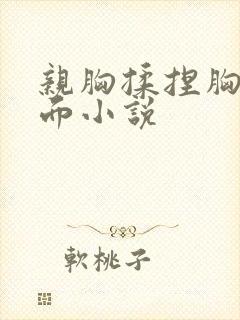 亲胸揉捏胸摸下面小说