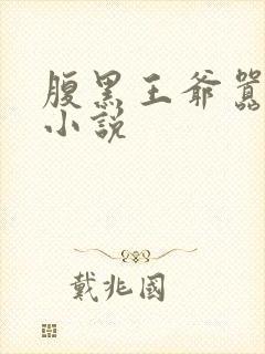 腹黑王爷嚣张妃小说封面