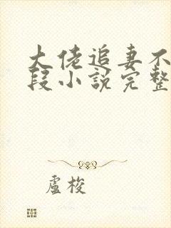 大佬追妻不择手段小说完整版大结局