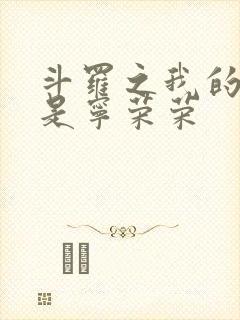 斗罗之我的老婆是宁荣荣