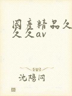 国产精品久久久久久av