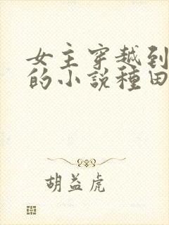 女主穿越到古代的小说种田文