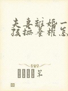 夫妻离婚一个小孩抚养权怎么判