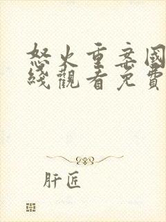 怒火重案国语在线观看免费完整版封面