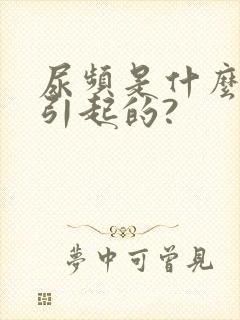 尿频是什么原因引起的?