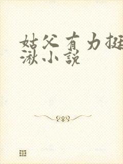 姑父有力挺送徐湫小说