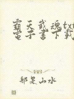 霸天武魂txt电子书下载封面