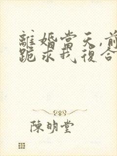 离婚当天,前夫跪求我复合短剧封面