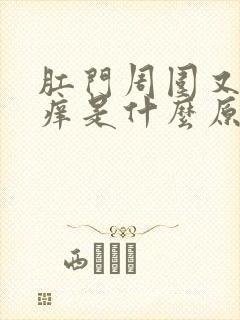 肛门周围又疼又痒是什么原因