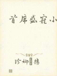 首席盛宠小萌妻