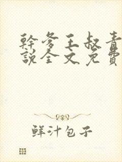 干爹王叔青青小说全文免费阅读最新