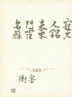 名门夫人宠妻成瘾霍东铭免费阅读