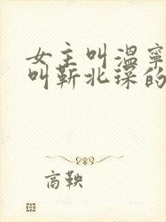 女主叫温宁男主叫靳北琛的小说