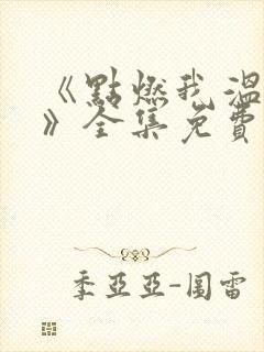 《点燃我温暖你》全集免费电视剧