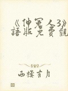 《伸冤人3》国语版免费观看